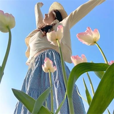 海贼王特别篇：空岛之章